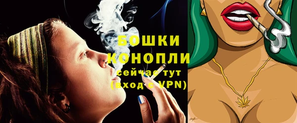 молекула духа Костерёво