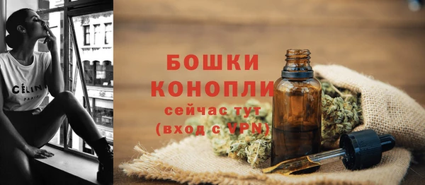молекула духа Костерёво
