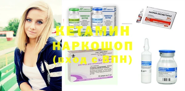 дживик Корсаков