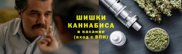 молекула духа Костерёво