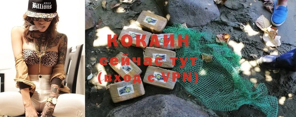 молекула духа Костерёво