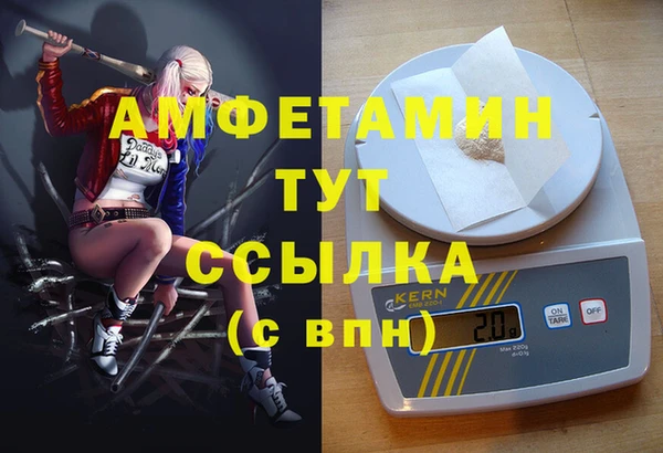 молекула духа Костерёво