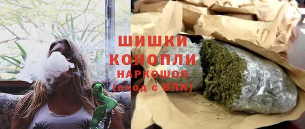 дживик Корсаков