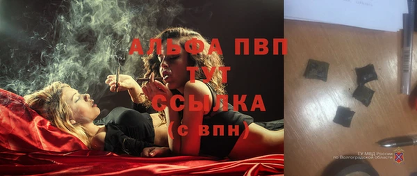 спиды Коряжма