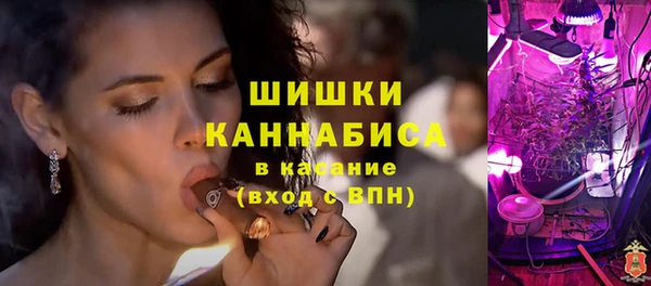 дживик Корсаков
