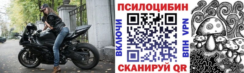 Псилоцибиновые грибы Cubensis  Кропоткин 
